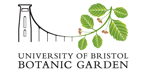Traditional botanical drawing & painting with Jenny Brooks