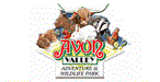 Avon Valley Picnic Concert