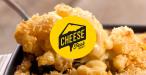 Cheese Fest Cardiff