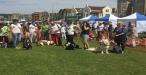 Weston-Super-Mare Dog Show & Fete