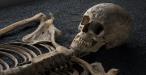 Skeletons: Our Buried Bones