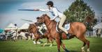 The Wiltshire Game & Country Fair