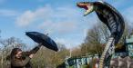 Predators at Longleat