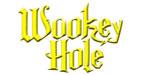 Winter Wonderland at Wookey Hole Caves