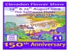 Clevedon Flower Show 2019