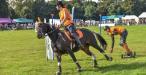 Wiltshire Game & Country Fair