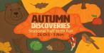 Autumn Discoveries
