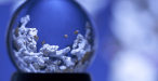 Fishmas Holidays! Bristol Aquarium - 19th December 2020 - 3rd January 2021