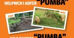 Help restore “Pumba”!