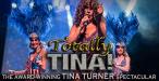 Totally Tina - The Playhouse